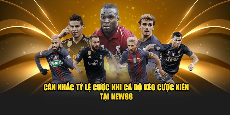 Cân nhắc tỷ lệ cược khi cá độ kèo cược xiên tại New88
